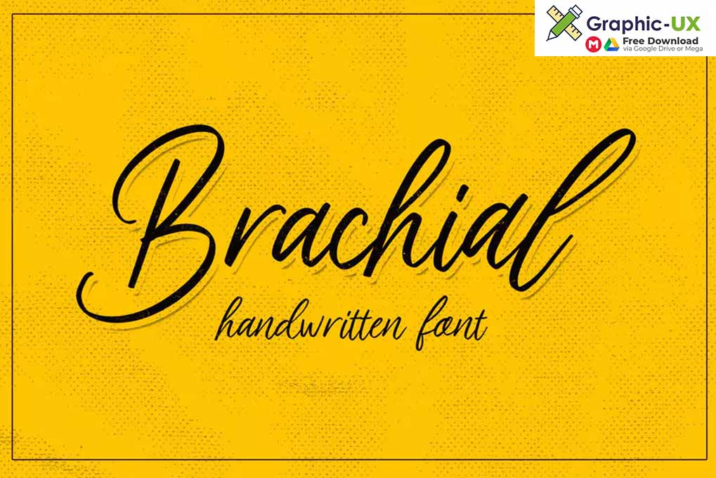 Brachial Script Font