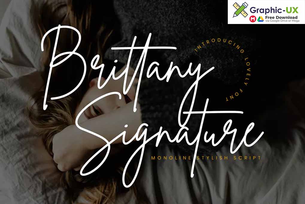 Brittany Signature Script Font 