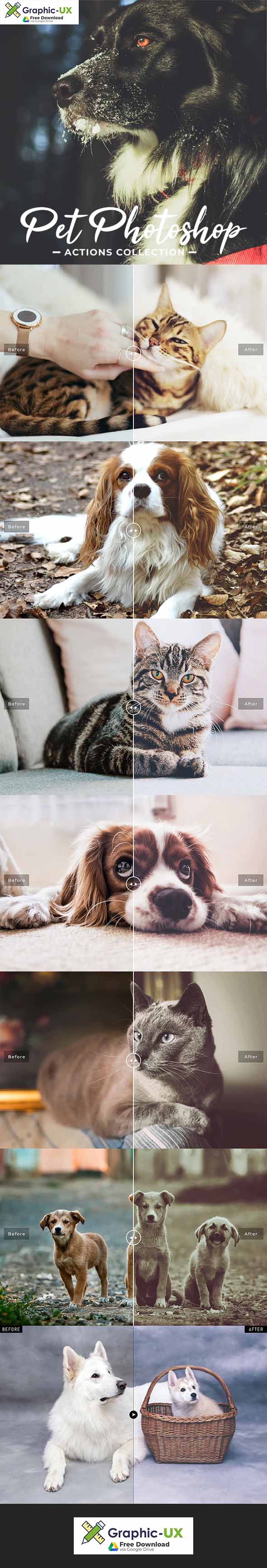 Pet Photoshop Actions Collection 