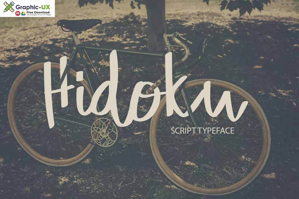 Hidoku Script Typeface font 