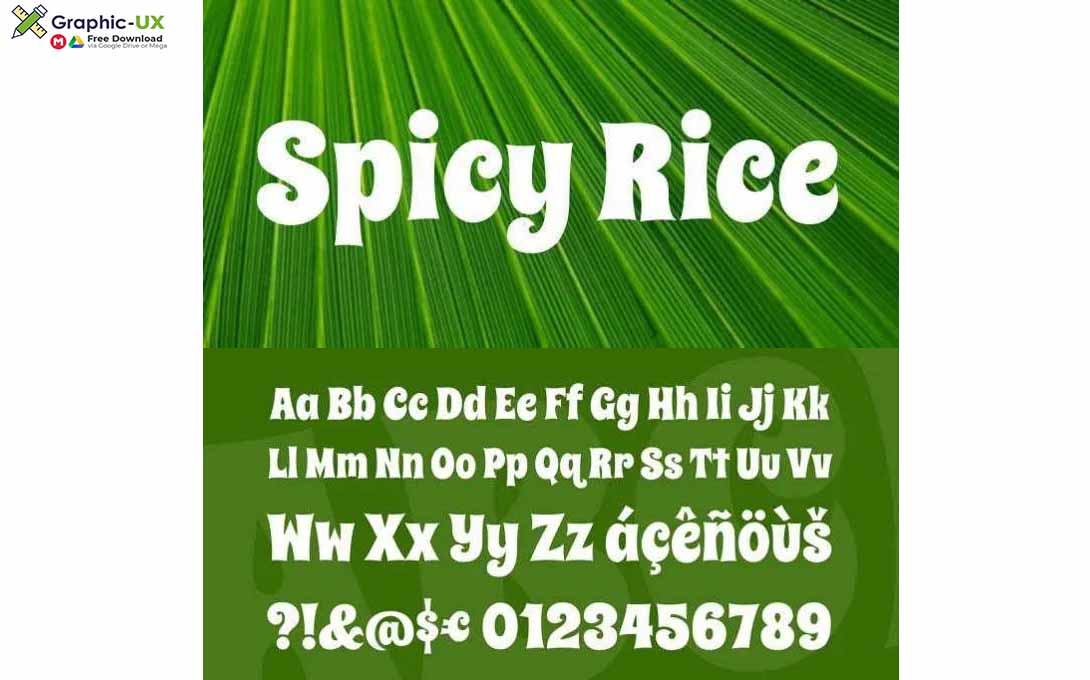 Spicy Rice Font 