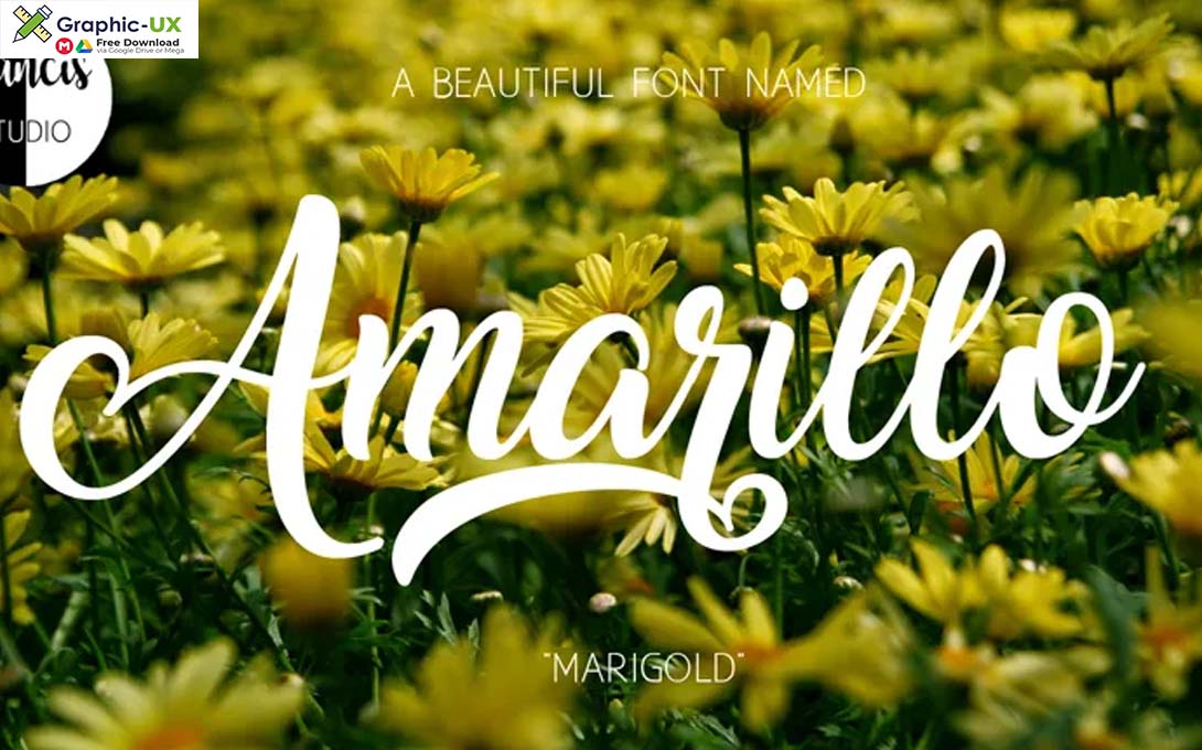 Amarillo Font 