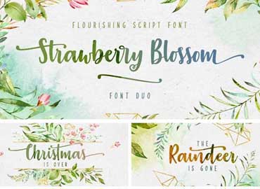 Strawberry Blossom Font Free