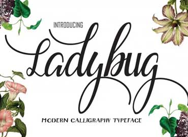 Ladybug Script Font Free