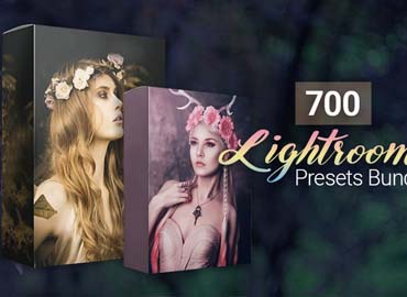 700 Amazing Lightroom Presets Bundle