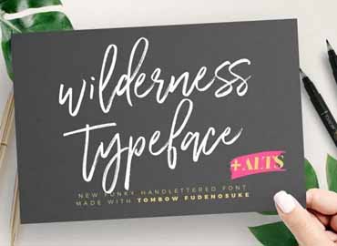 Wilderness Brush Font Free