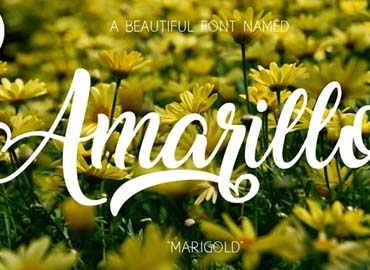 Amarillo Font Free