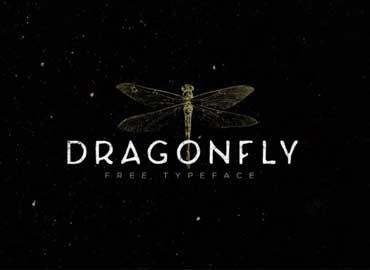 Dragonfly Font Free