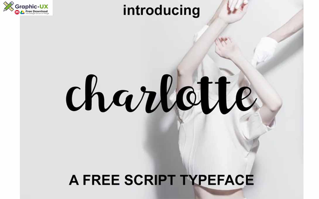  Charlotte Script Font 