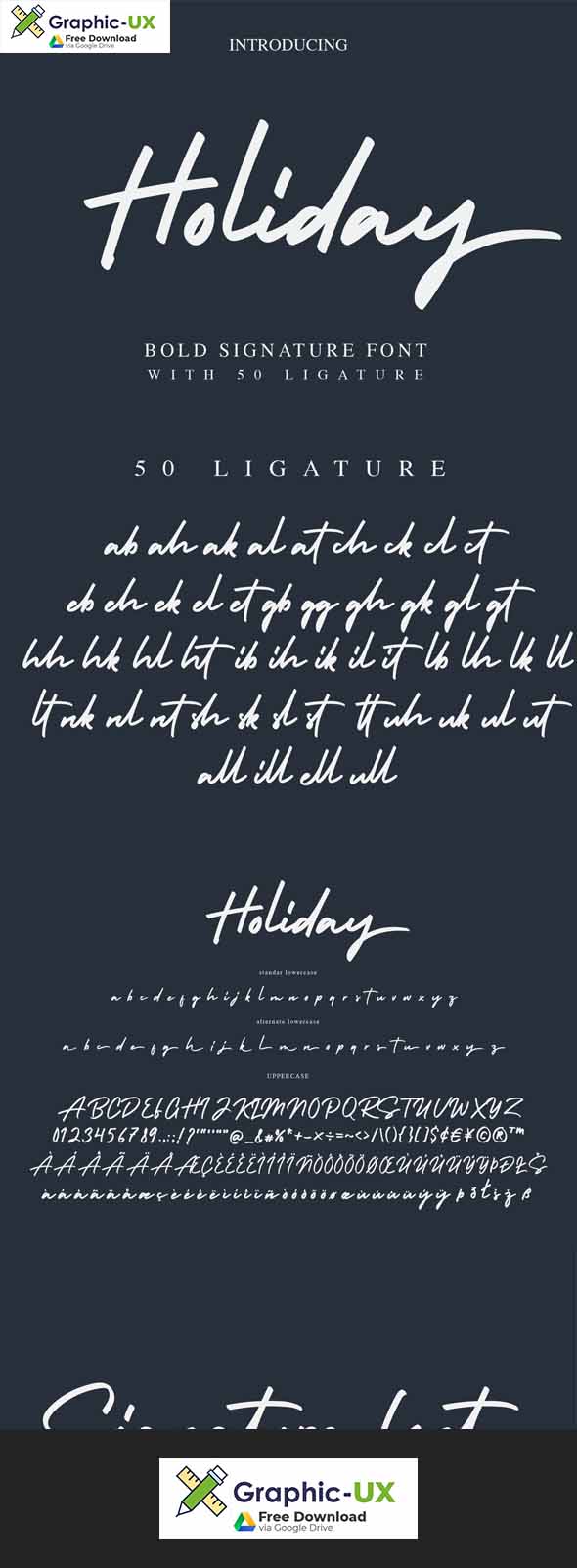 Holiday Bold Script Font
