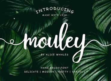 Mouley Script Font Free Download