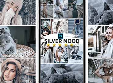 Silver Mood Photoshop Actions